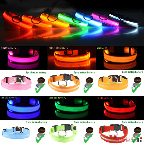 Aura Collar: Ultra-Bright LED Safety Collar