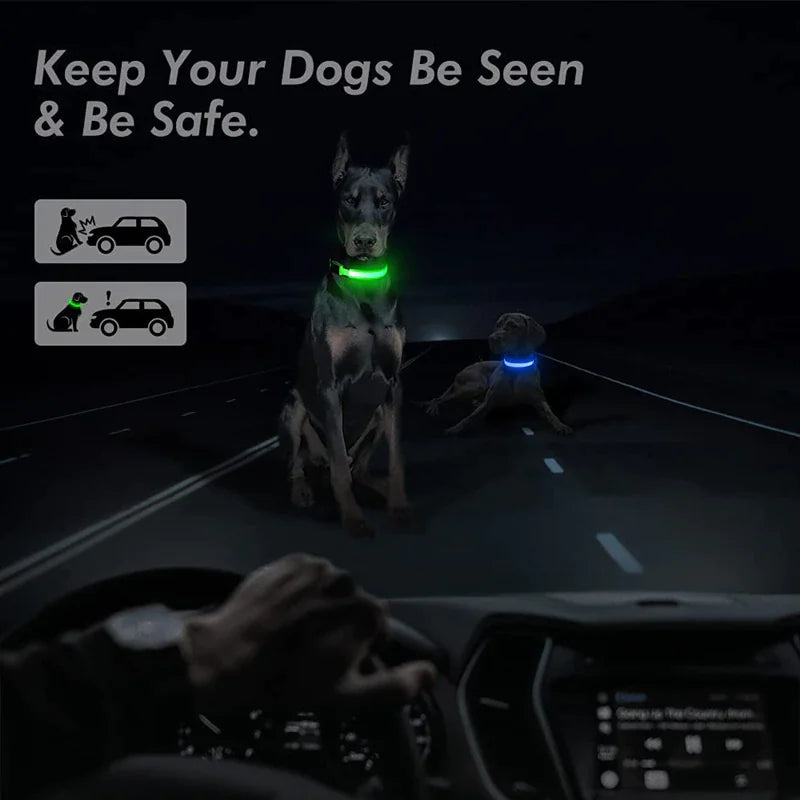 Aura Collar: Ultra-Bright LED Safety Collar